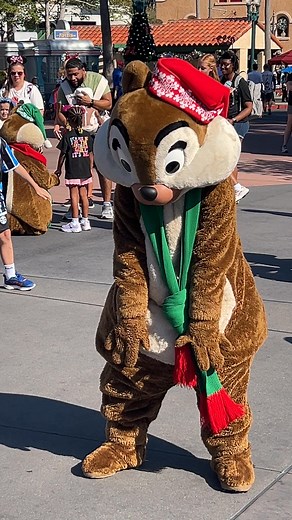 Holiday Chip 'n' Dale #waltdisneyworld #disneyshollywoodstudios #chipndale #Holidays #disneyholidays #holidays2025 #fblifestyle #disneyover50 | DisneyOver50