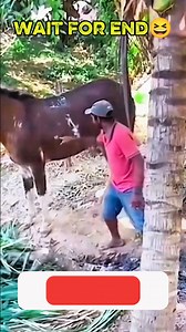 1.6K views · 14 reactions |  Funniest Man Reaction Ever | Try Not To...