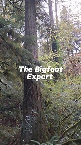 156K views · 1.5K reactions | The Bigfoot Expert avoids "The Feds" helicopter surveillance on his hunt for Sasquatch. Filmed off limits where the sun don't shine deep in hostile Bigfoot territory. Pacific Northwest U.S.A. #bigfoot #documentary #sasquatch #expedition | The Bigfoot Expert | Facebook