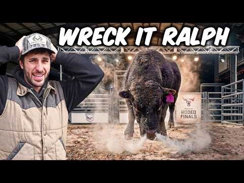 We Took Our ANGRY MINI BULL To A Rodeo!