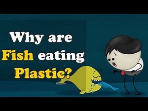 Why are Fish eating Plastic? + more videos | #aumsum #kids #science #education #children
