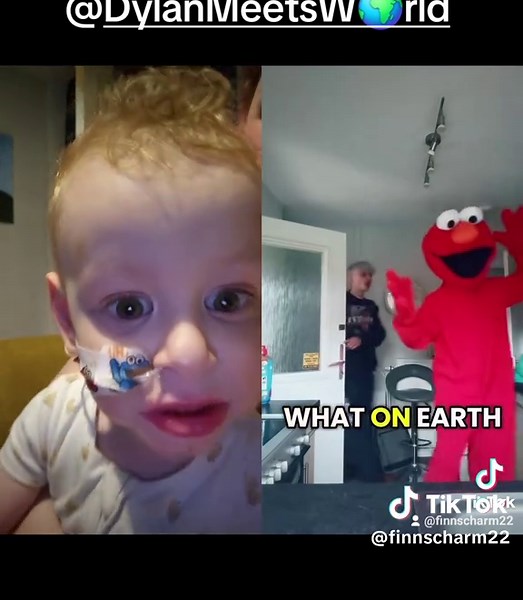 Dylan and Finn's Exciting Meeting with Elmo