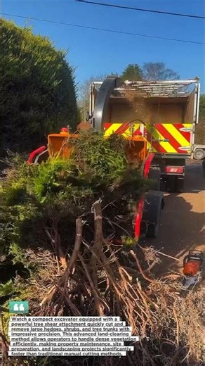 This Tree Removal Machine Is Incredibly Fast! 🌳🚜 | Satisfying Land Clearing Technology