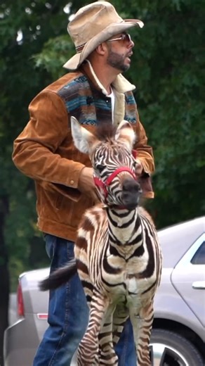 Lost Dog #edbassmaster #funny #comedy #fypシ゚viralシ2023 #fypシ゚ #psh | Ed Bassmaster