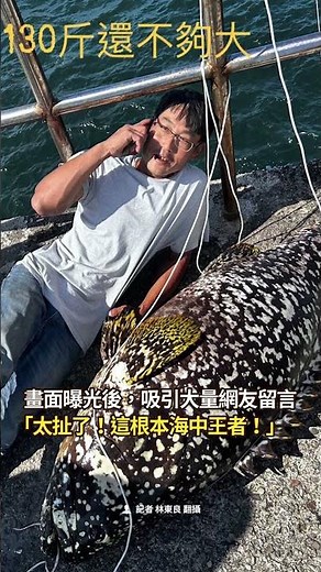 【130斤巨魚現身】台南釣客3分鐘拉起野生龍膽石斑！全場驚呆 #Shorts