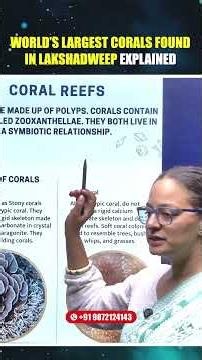 What are Potato Patch Corals Found in Lakshadweep? Explained