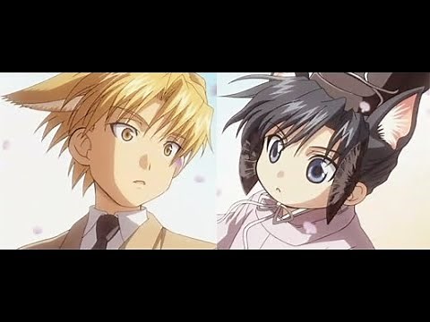 Maiden rose OVA 1 y 2 extra
