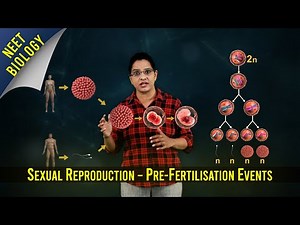 Class 12, Biology - Sexual Reproduction – Pre-Fertilisation Events