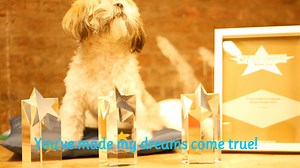 32 reactions · 3 comments | Chummy is over the moon with the news that ISI Dublin has won the StudyTravel Ltd Star English Language School Europe 2018. A third win for ISI Dublin, but it's just the first award for Chummy so she's very excited to say a big thank you to everyone that watched her videos earlier this year, and made it possible. Watch her latest video below! | ISI Dublin - Language School | Facebook