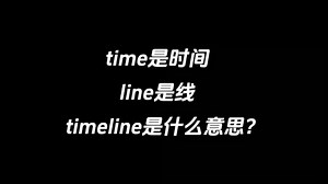time是时间，line是线，timeline是什么意思？