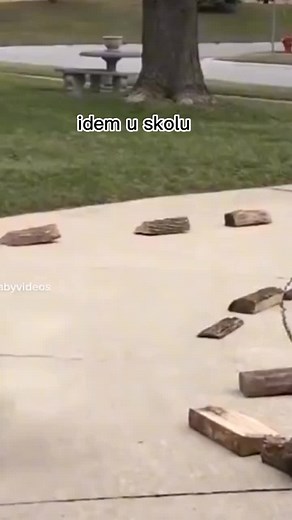 random profile (@._.random._.videozzz)’s videos with original sound - random profile