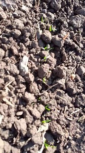 3.2K views | Danciu C Daniel on Reels | Facebook