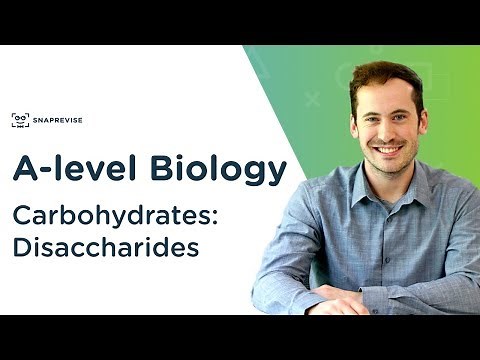 Carbohydrates: Disaccharides | A-level Biology | OCR, AQA, Edexcel