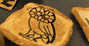 Edible graphene could embed RFID tags in food