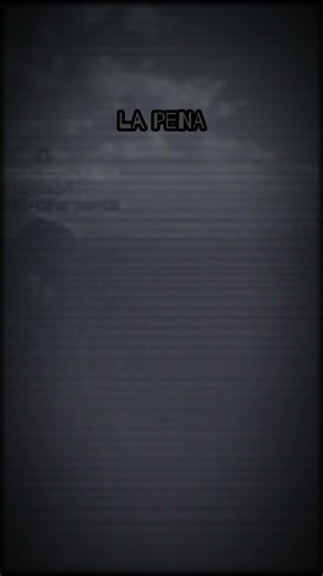 Yo no me rendí y tampoco lo haré... #viral #frases #motivation #reflexion