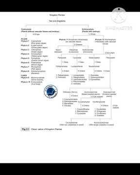 angiosperm origin,taxonomy,nomenclature and classification notes at one place #botanylovers