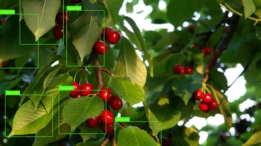 4.1K views · 63 reactions | Plant Recognition with Accuracy #AI FULL video out: https://www.youtube.com/watch?v=__TLvNXthZ8 | Pyresearch | Facebook