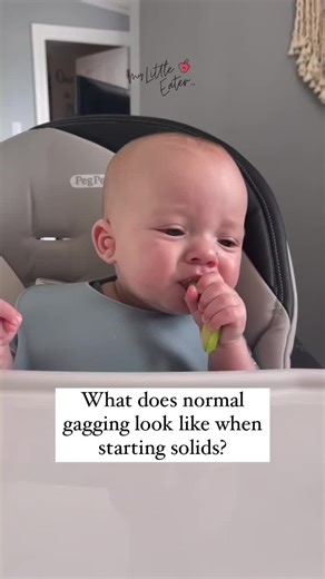 We know that babies gag a lot when they first start solids, but how do you know if your baby is gagging more than normal? Type “GAGGING” in the comments below for a full blog post on how to overcome excessive gagging with solids. Gagging is not something that should be holding your baby back from eating. If your baby is gagging excessively throughout every meal on one specific texture, you may need to go back to an easier texture. This allows them to keep practicing and master that texture befor