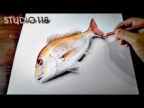 I tried to draw the Red snapper realistically.