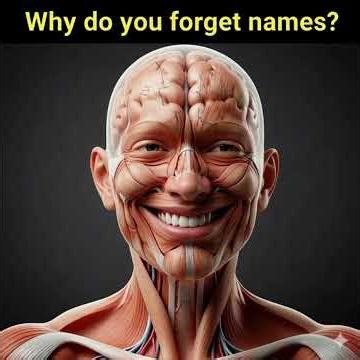 Why We Forget Names So Easily (Neuroscience Explained) #neuroscience #brain #facts