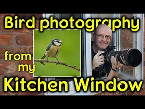 Beginners guide - How to photograph birds from a window in your house