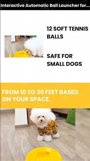 Interactive Automatic Ball Launcher for Dogs 12 Tennis Balls,BallLauncher for Medium & Small Dogs,