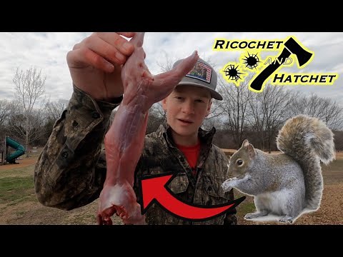 How to clean a squirrel in less than a minute! (step by step)