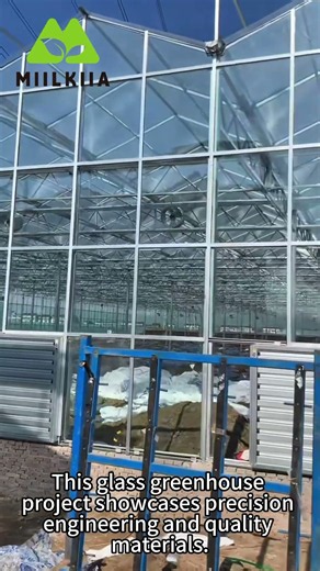 Glass Greenhouse Solutions for Modern Agriculture