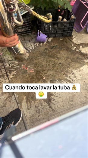 Limpiando una Tuba: Tips y Técnicas Divertidas