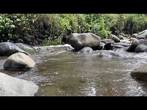 River Splash ASMR 🌊 Flowing Water & Natural Stream Sounds for Relaxation & Focus (30 Minutes)