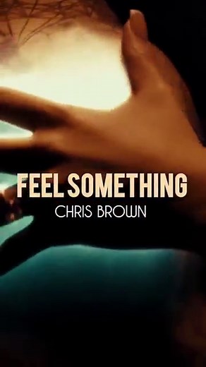 Chris Brown Feel Something Lyrics Video