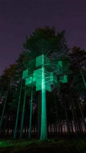 Marcel Márquez | Cinematic nighttime outdoor video mapping projection on real trees in a natural forest clearing. Tall pine trees stand still in a dark... | Instagram