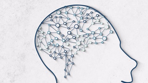 Item in good condition. Textbooks may not include supplemental items i.e. CDs, access codes etc...