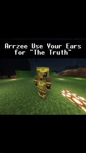 Arrzee is the WORST Detective