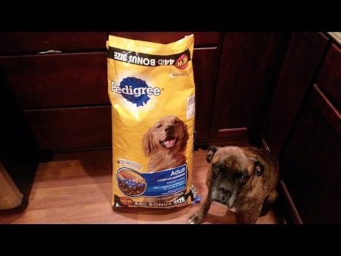 Pedigree Complete Nutrition Chicken Flavor Dog Food Review
