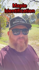 Let’s #learn to identify 🍁 #maple #trees #knowledge #information #firewood | Foothills Firewood