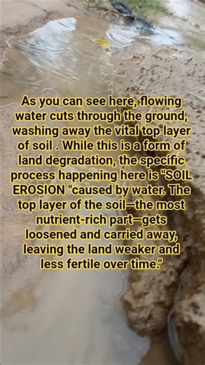 Soil Erosion #science #sciencefacts #learnvia #learnvialg #nature