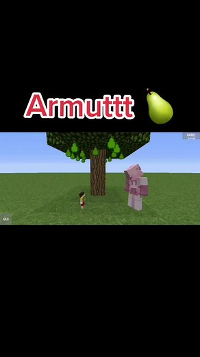 #minecraft #armut #keşfet