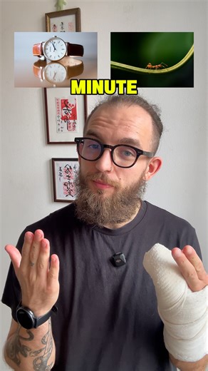 Linguific with Mat🚀🇬🇧 on Instagram: "🤯 Same spelling…different meaning (and sometimes different pronunciation!) Welcome to HOMOGRAPHS 👀 👉 minute → 60 seconds ⏱ / very small 🐜 👉 address → where you live 🏠 / speak to people 🎤 👉 close → nearby 👀 / shut 🚪 👉 park → green space 🌳 / leave your car 🚗 👉 watch → wrist item ⌚ / look at 👀 👉 lead → /liːd/ guide 👨‍🏫 / /led/ metal ⚒️ 👉 train → transport 🚂 / practise 🏋️ 💡 Same word. New meaning. Context decides. Which one has tricked yo