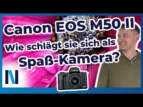 Canon EOS M50 Mark II: With these programs you have great options for perfect snapshots