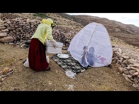 Surviving the Wild: A Mother's Sacrifice for Her Children in the Mountains