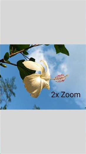 Redmi 13c camera testing review #redmi #reels