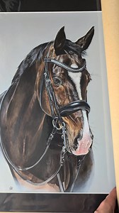 59K views · 2K reactions | My painting of Polka, wrapped and ready to send  Alex Baker Dressage #horses #britishdressage | Caren's Artworks | Facebook