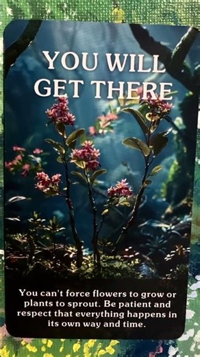 The you will get there card from the Mystic Forest Oracle deck #Readings #Oracle #Inspiration ￼