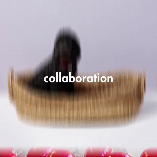 Browse the world's most iconic designs and future collectibles as part of The Conran Shop's curated edit. | The Conran Shop