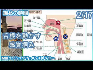 【切り抜き】喉仏と舌根の感覚分離トレーニング【両声類、女声トーク】