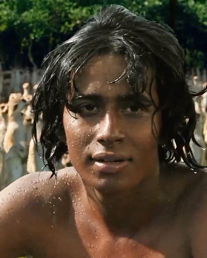 Life of Pi 🌊🐅 The Miracle Island That Saved Pi and Richard Parker