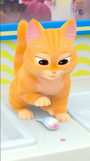 🐱 布布又调皮啦！Boo, the Troublemaker #贝贝彬 #shorts