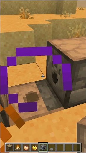 😱 Is this Minecraft bug real? Check it out!