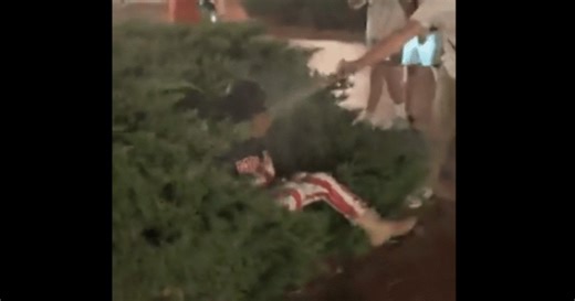 Crazed woman pepper sprayed in the face after lunging at MAGA activist, video shows